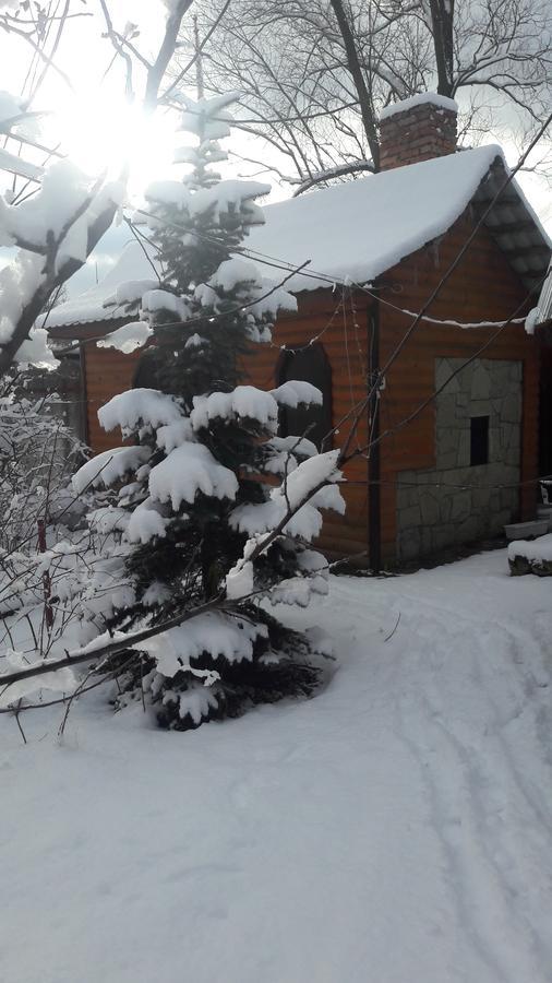 Bed and Breakfast Berizka Яремча Экстерьер фото